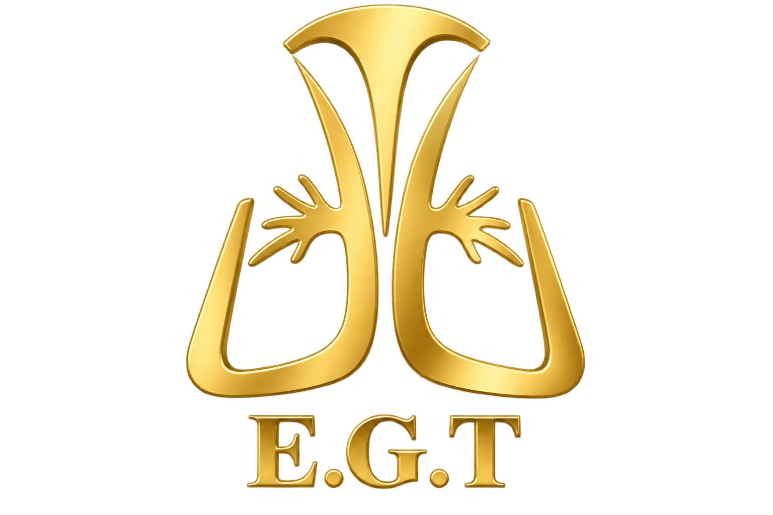 اکسیژن ساز 5 لیتری EGT